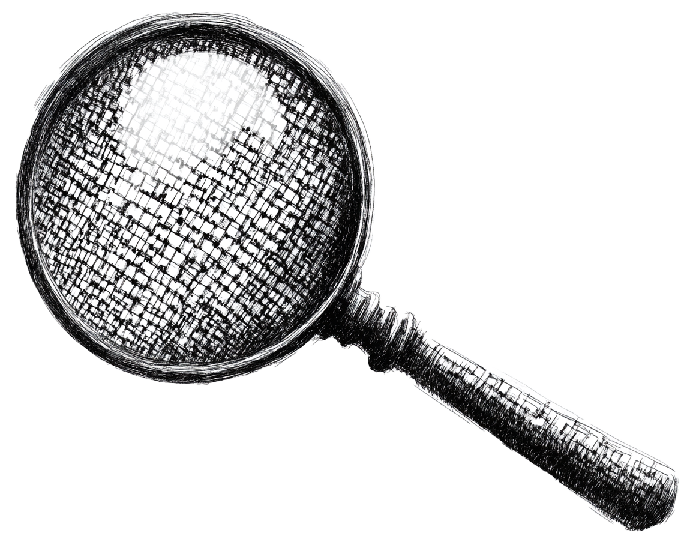 stHYPE Fully Transparent